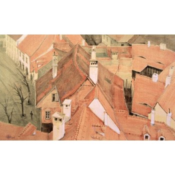 Vedere din Turnul Sfatului