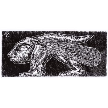 Contemporary Grillus