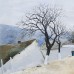 Butuceni  2007