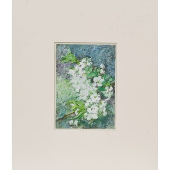 Crenguță de vișin