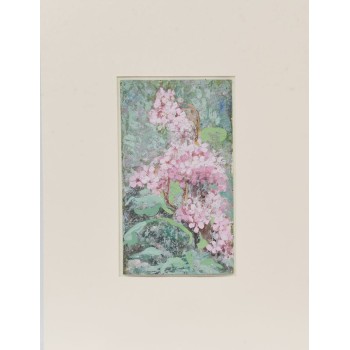 Flori de primăvară