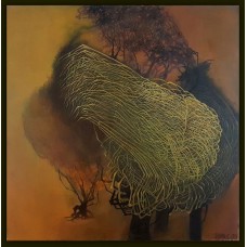 Metamorfoze Metamorfoze