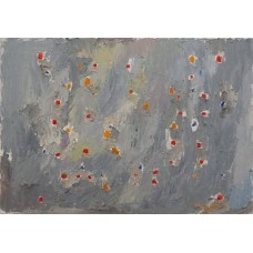 Stele colorate pe cerul de gri