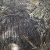 Bamboo garden