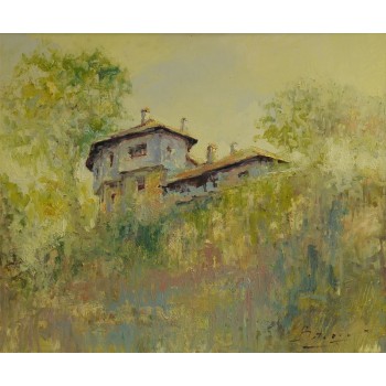 Vila prințului Nicolae